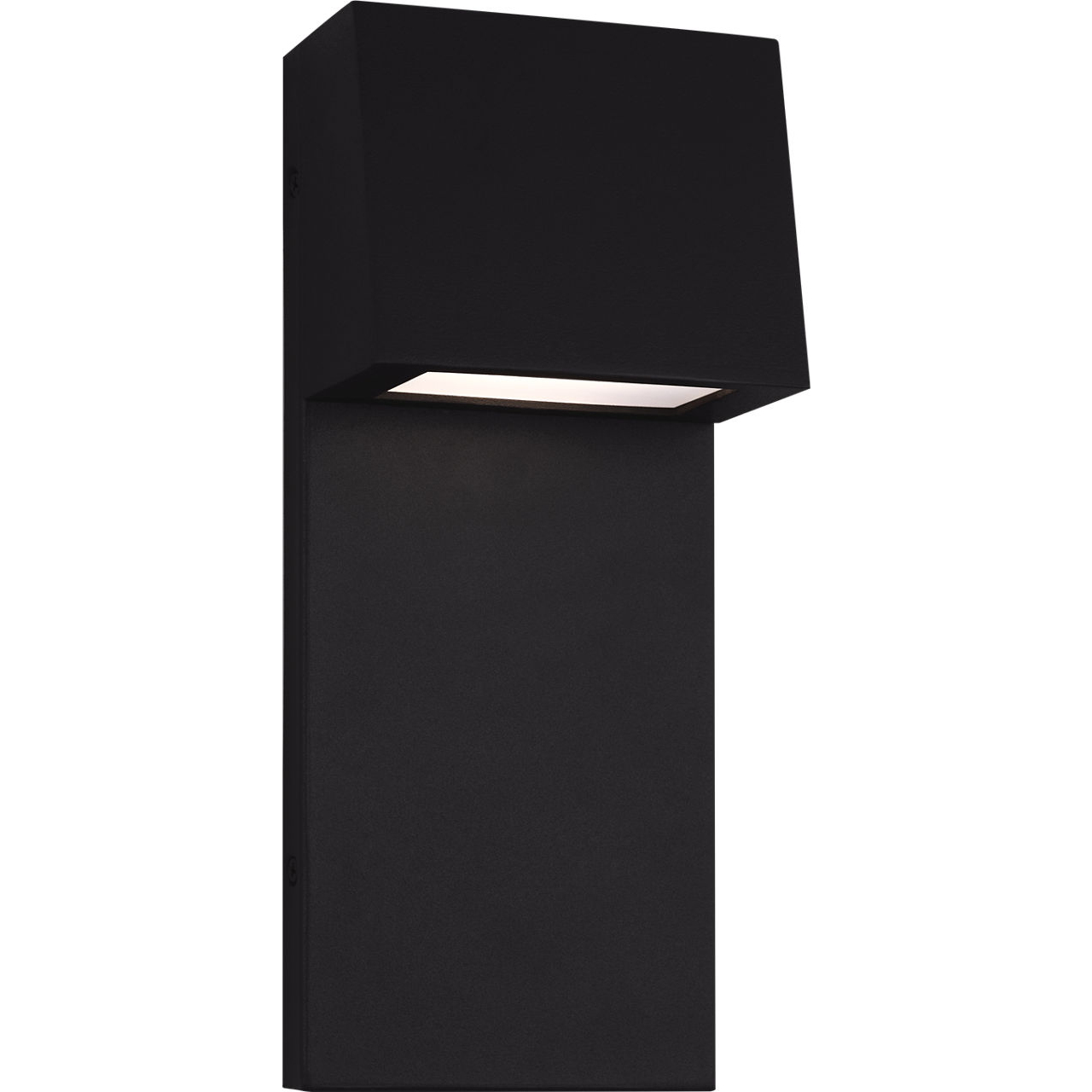 Rocha LED 12 inch Black Outdoor Wall Lantern