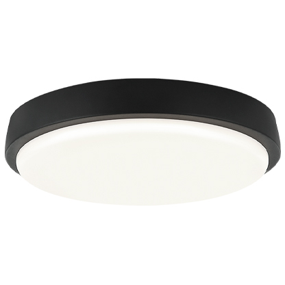 Zane LED 12 inch Matte Black Flush Mount Ceiling Light