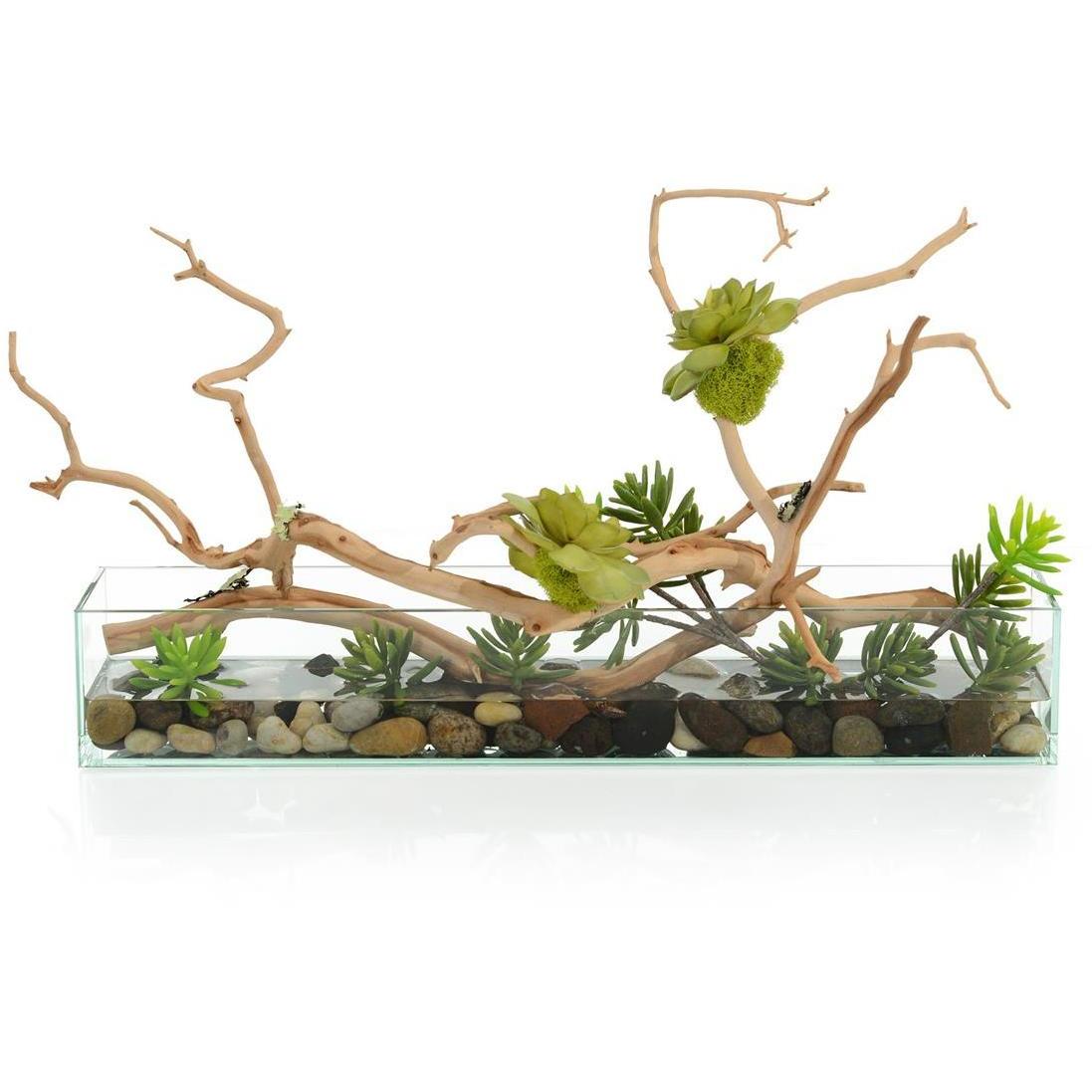 Succulent Tree Botanical, Fresh Water Look