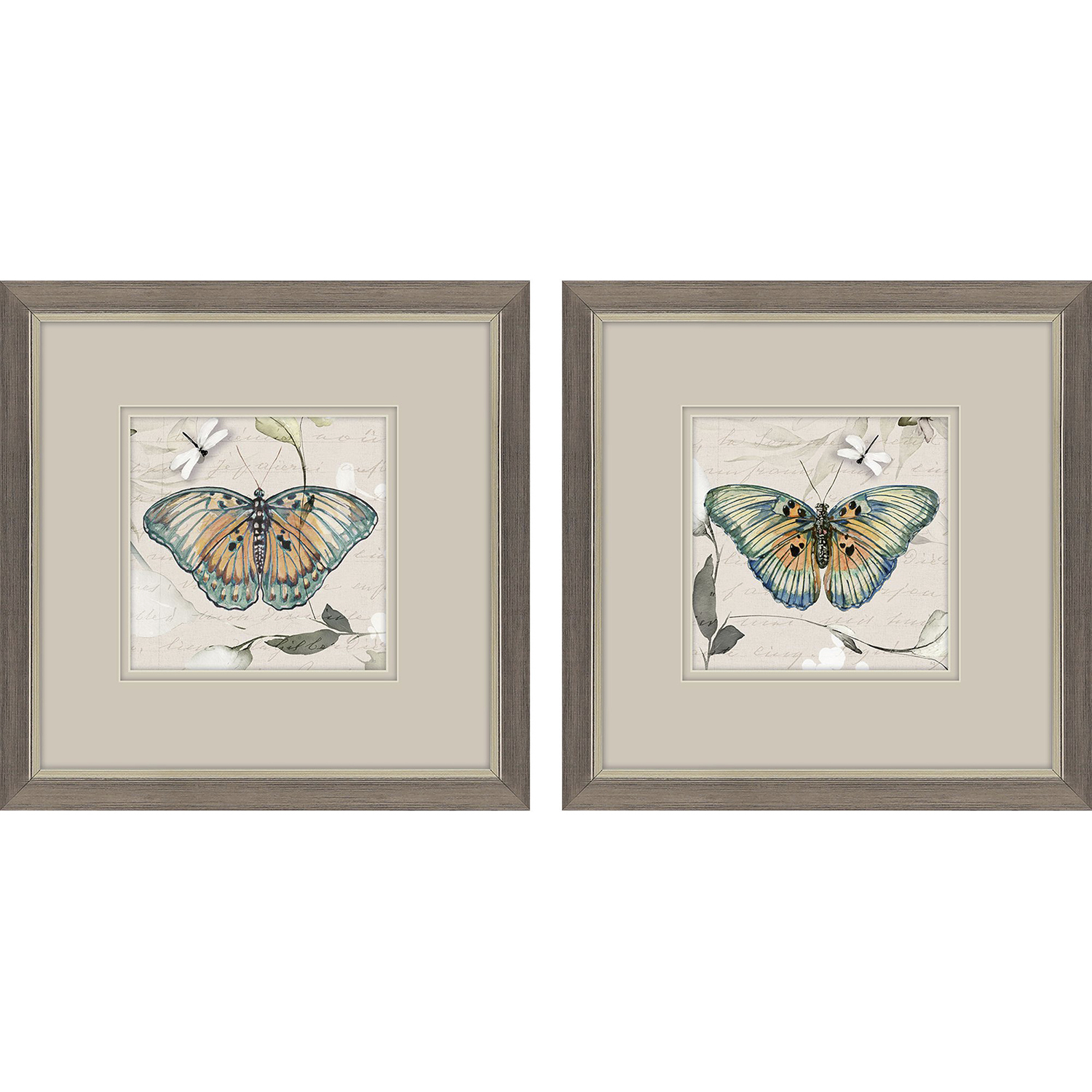 Animals Turquoise and Green Framed Art, Propac