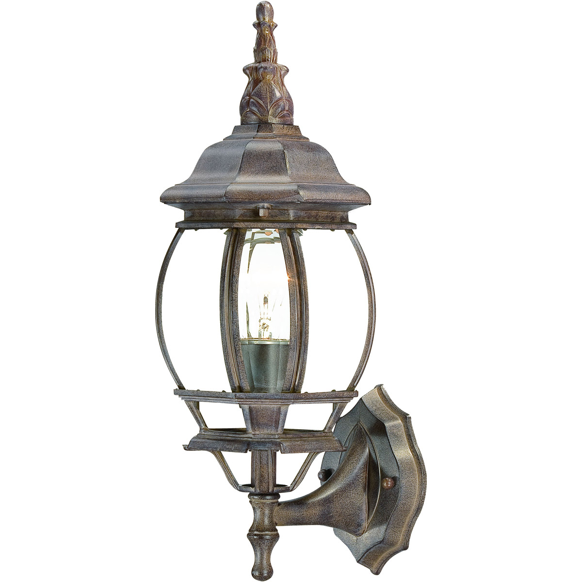 Chateau 1 Light 18 inch Burled Walnut Exterior Wall Mount