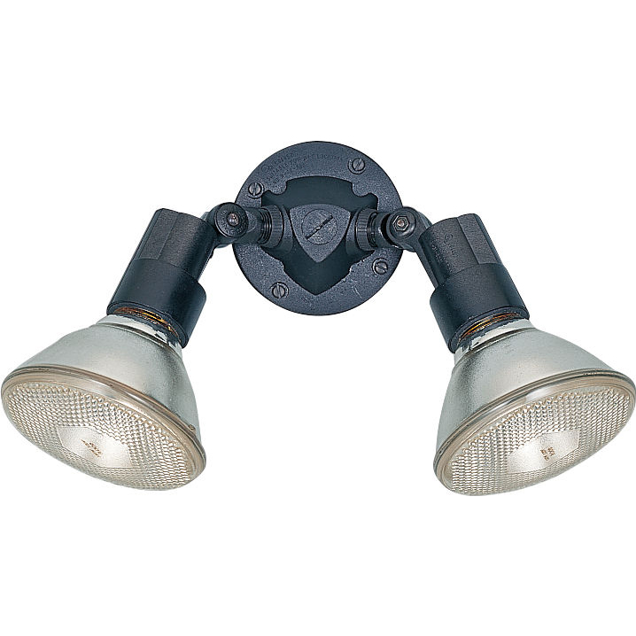 Flood Light 2 Light 11 inch Black Outdoor Wall Or Ceiling Flush Mount