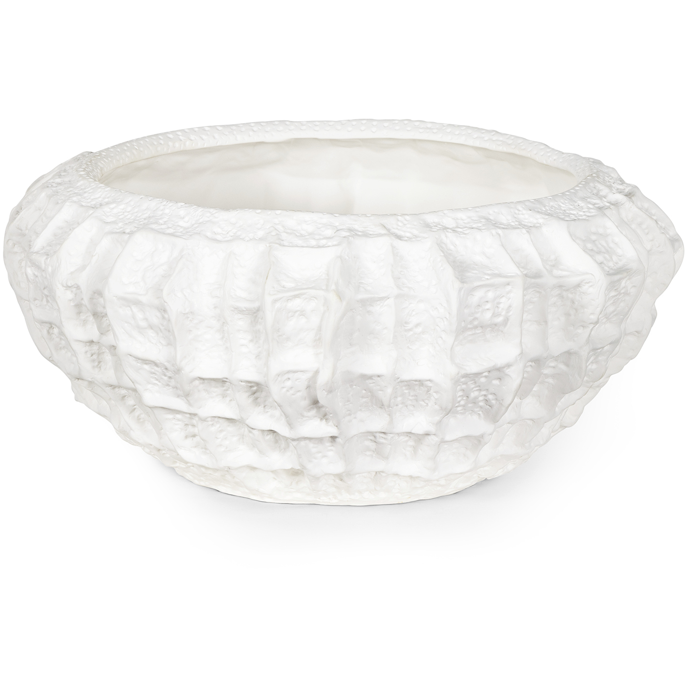 Caspian 16.5 X 8 inch Bowl