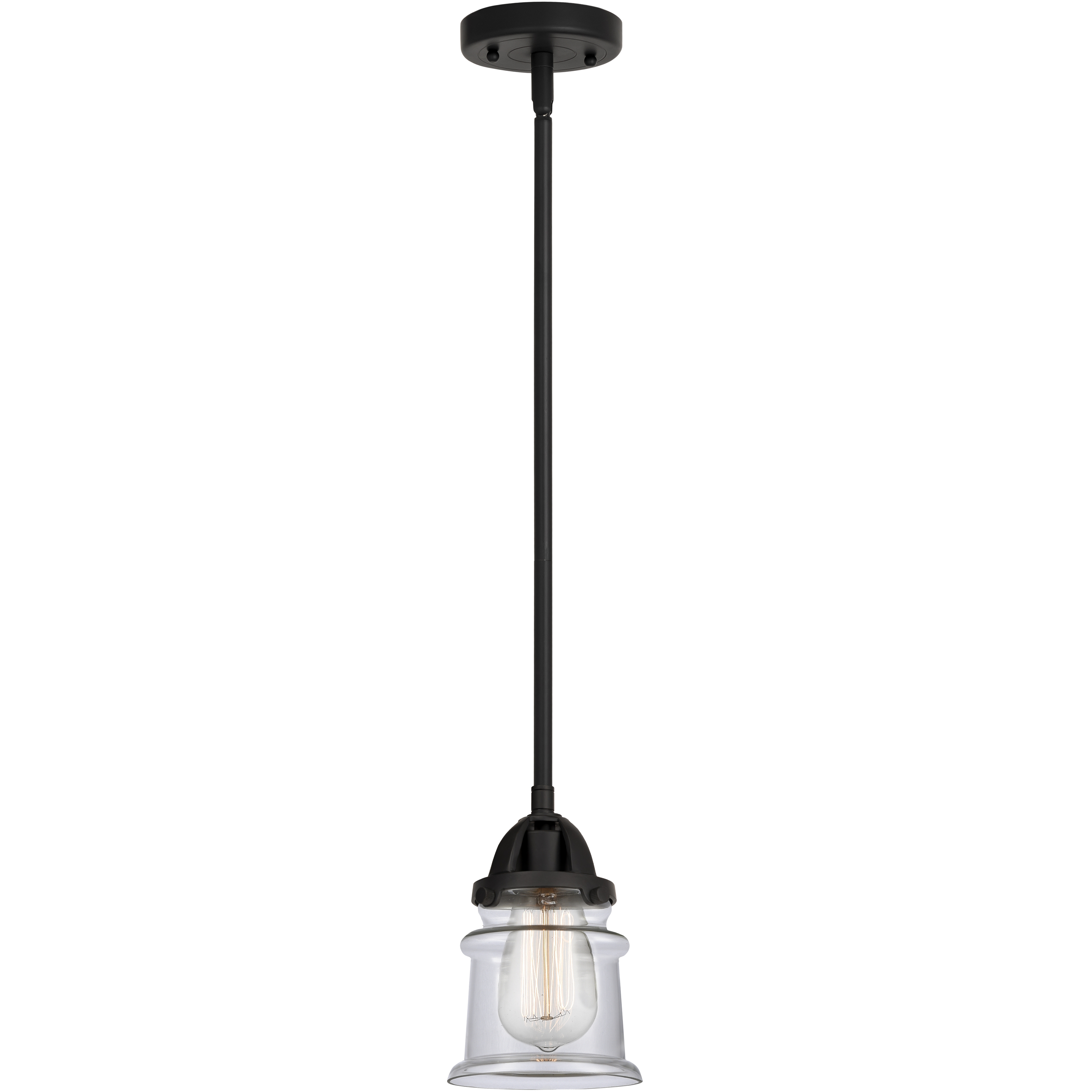 Nouveau 2 Canton 1 Light 5.25 inch Matte Black Mini Pendant Ceiling Light in Incandescent, Clear