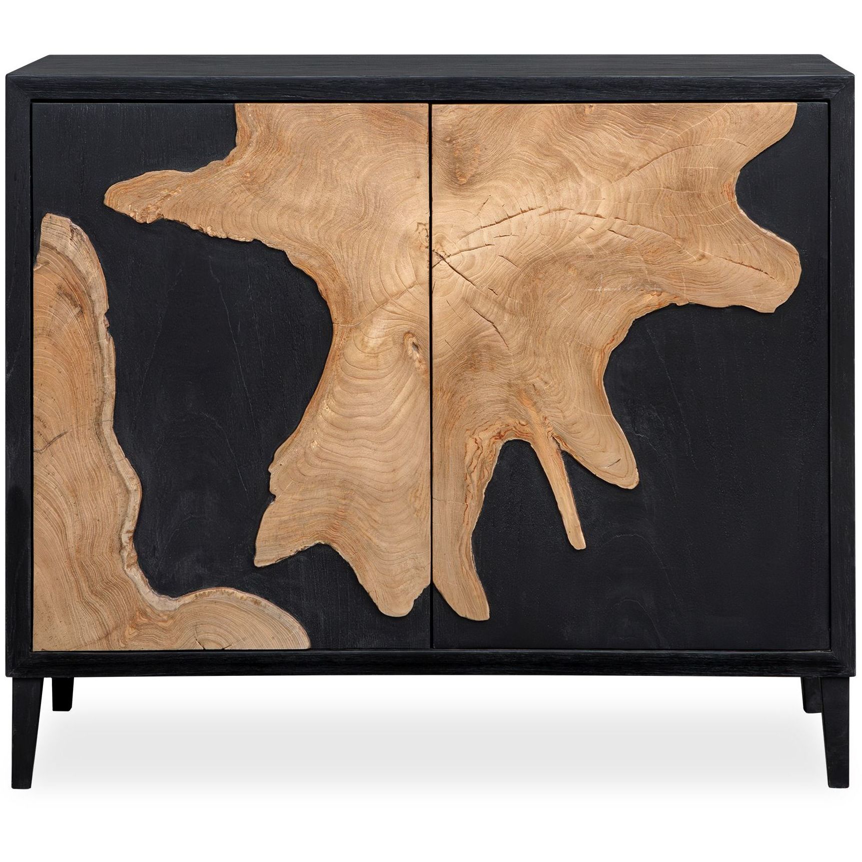 Andrei Black and Teak Wood 2 Door Cabinet
