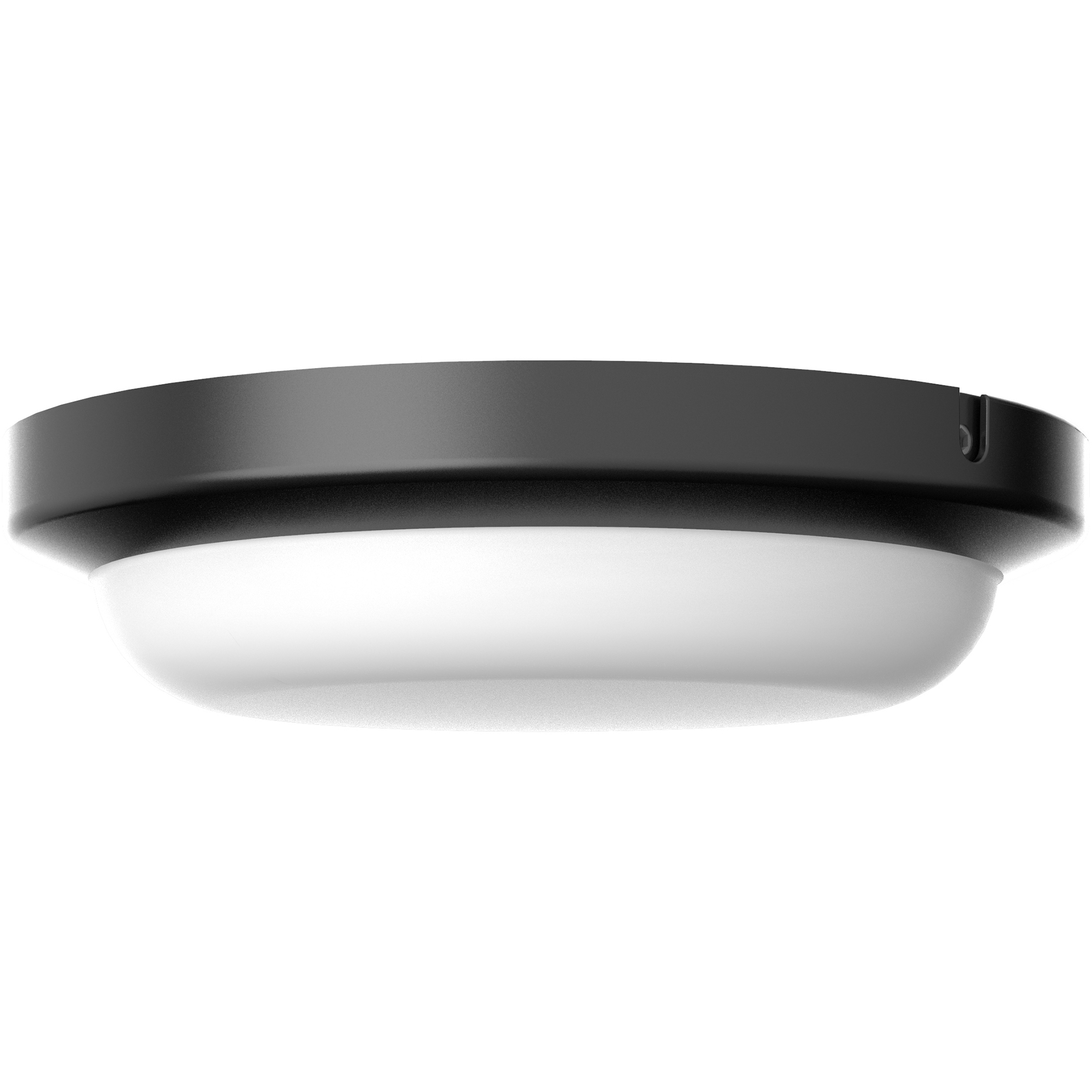 Dean LED 8 inch Black Outdoor Flush Mount