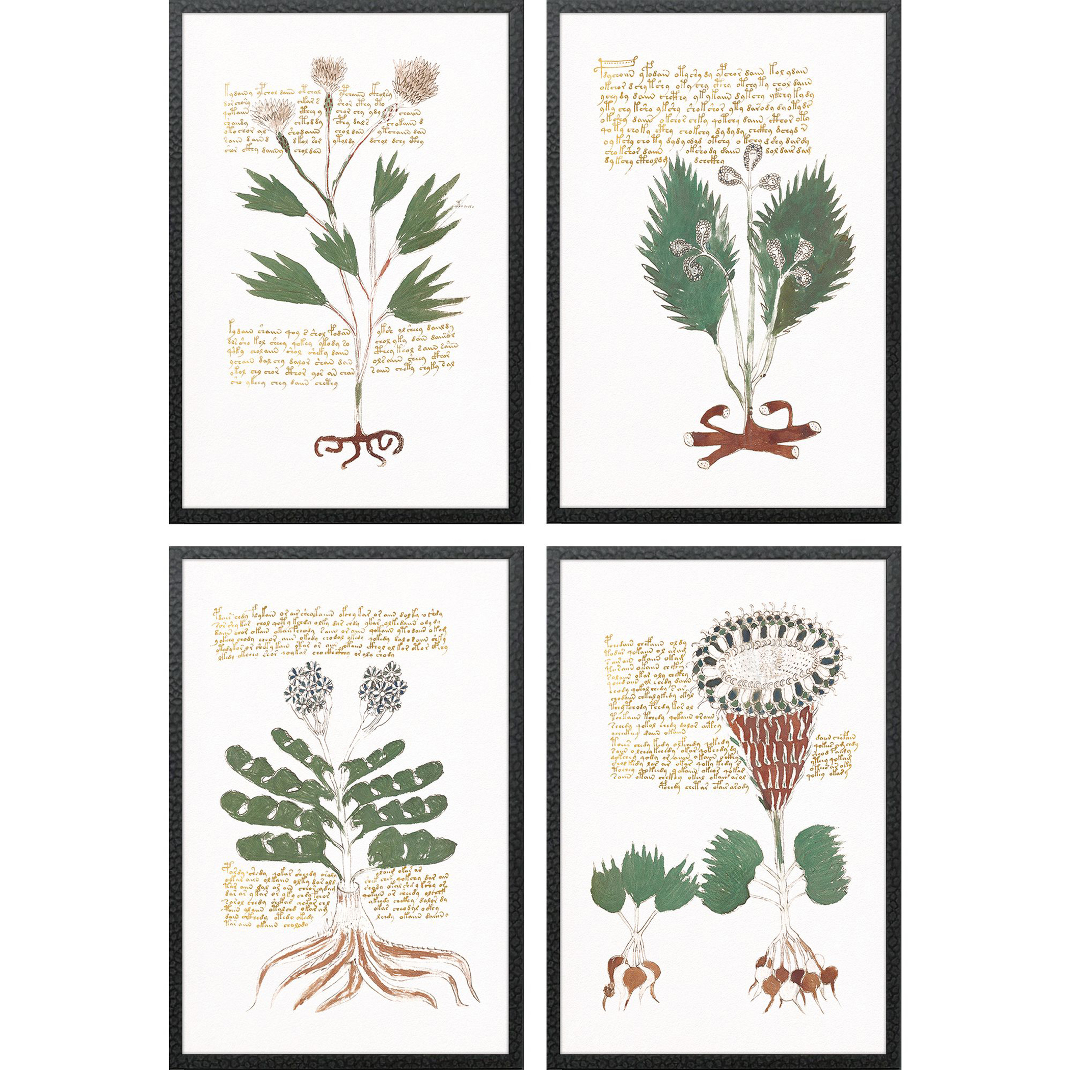 Magical Botany Green and Blue and Neutral and Rust Framed Art