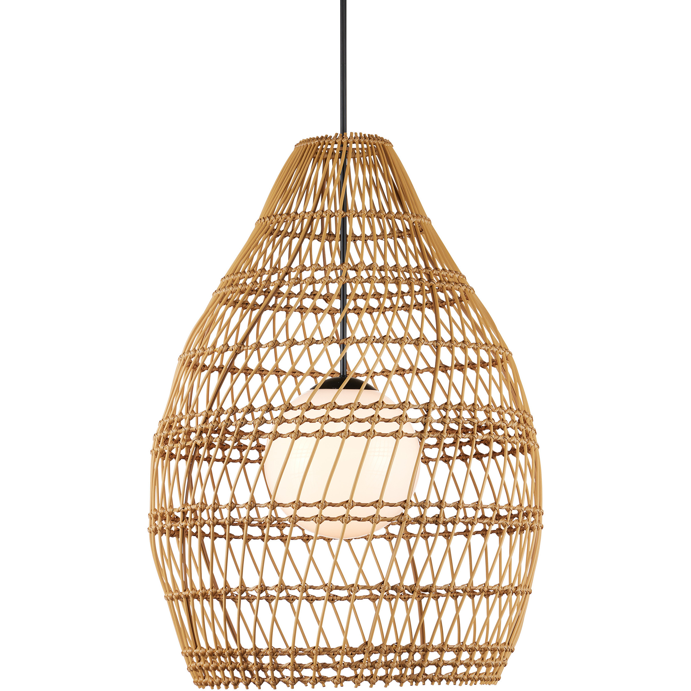 Fishtrap 1 Light 29.5 inch Black Outdoor Pendant