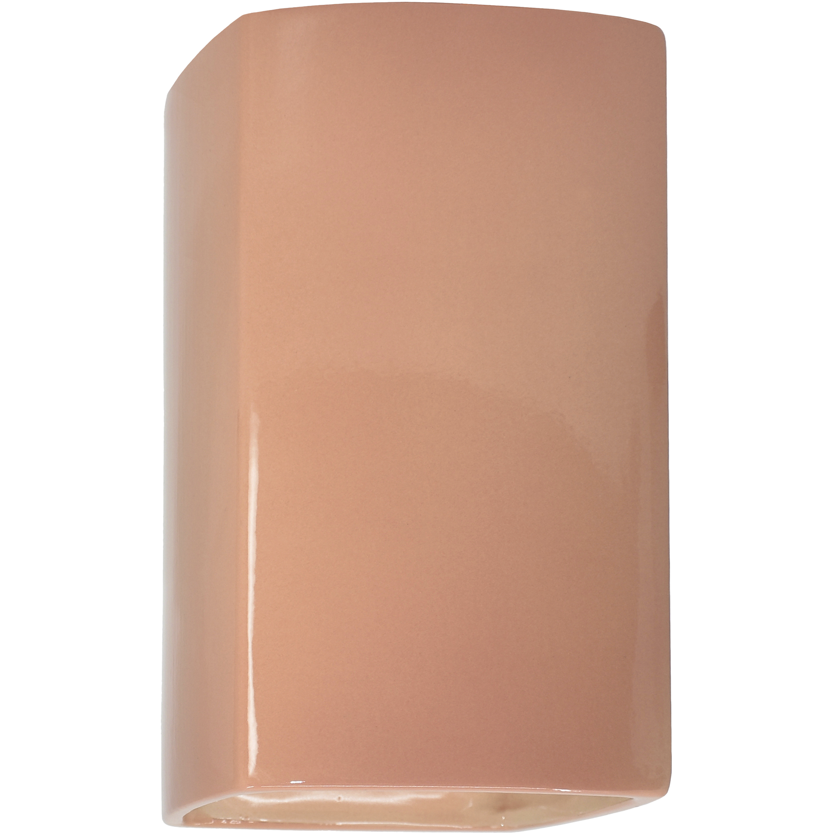 Ambiance Collection LED 13.5 inch Gloss Blush Outdoor Wall Sconce