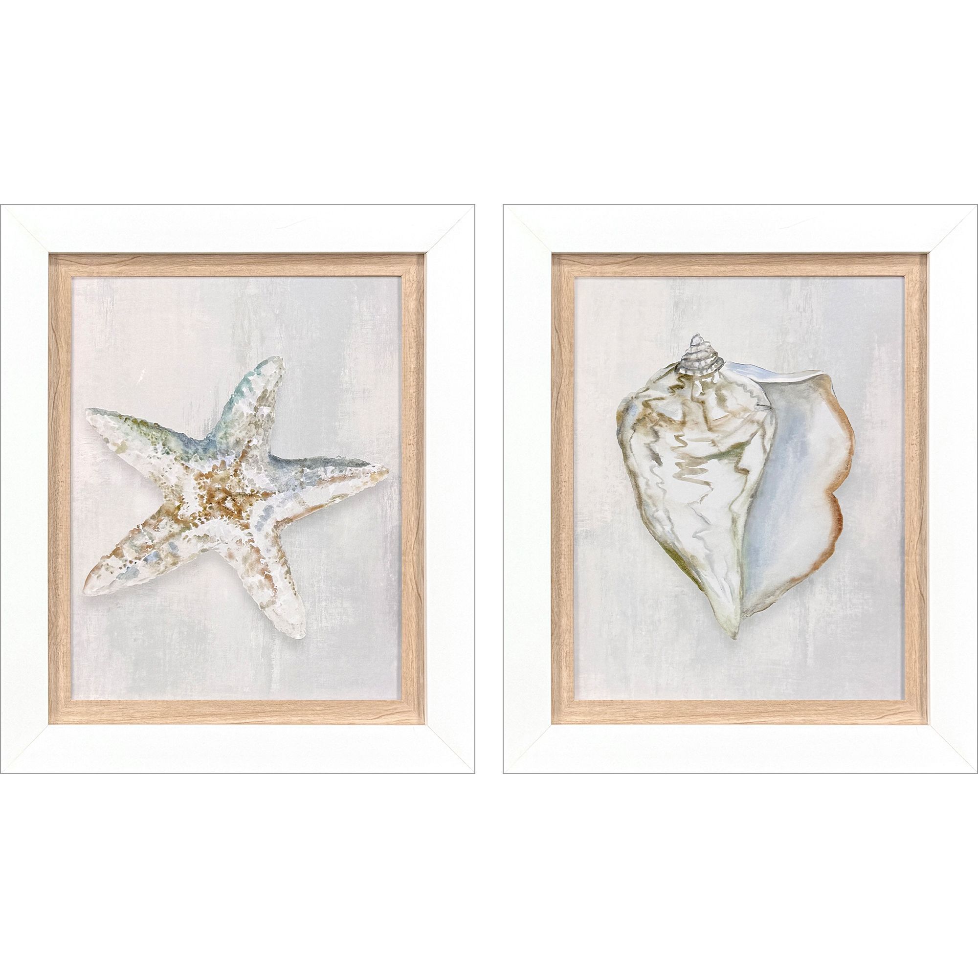 Serenity Shells Blue and Neutral Framed Art, Propac