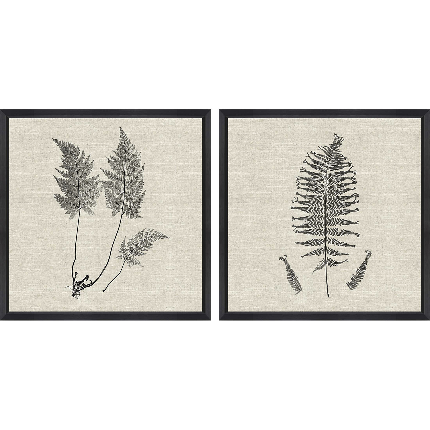 Modern Ferns Neutral and Black and Beige Framed Art