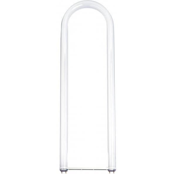 Lumos Fluorescent 28 watt 6500K Light Bulb, T8 Linear U Bend