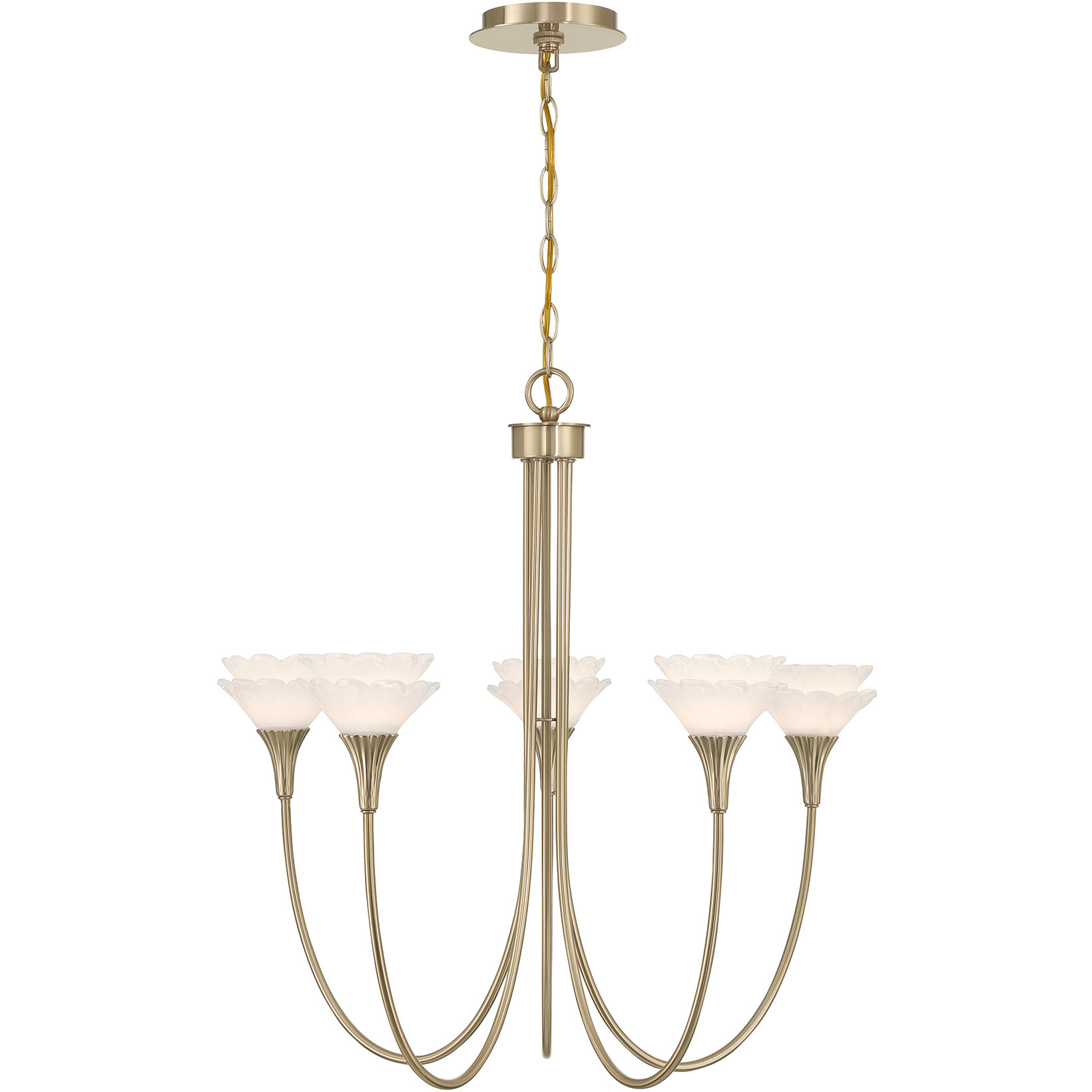 Florena 5 Light 26 inch Noble Brass Chandelier Ceiling Light