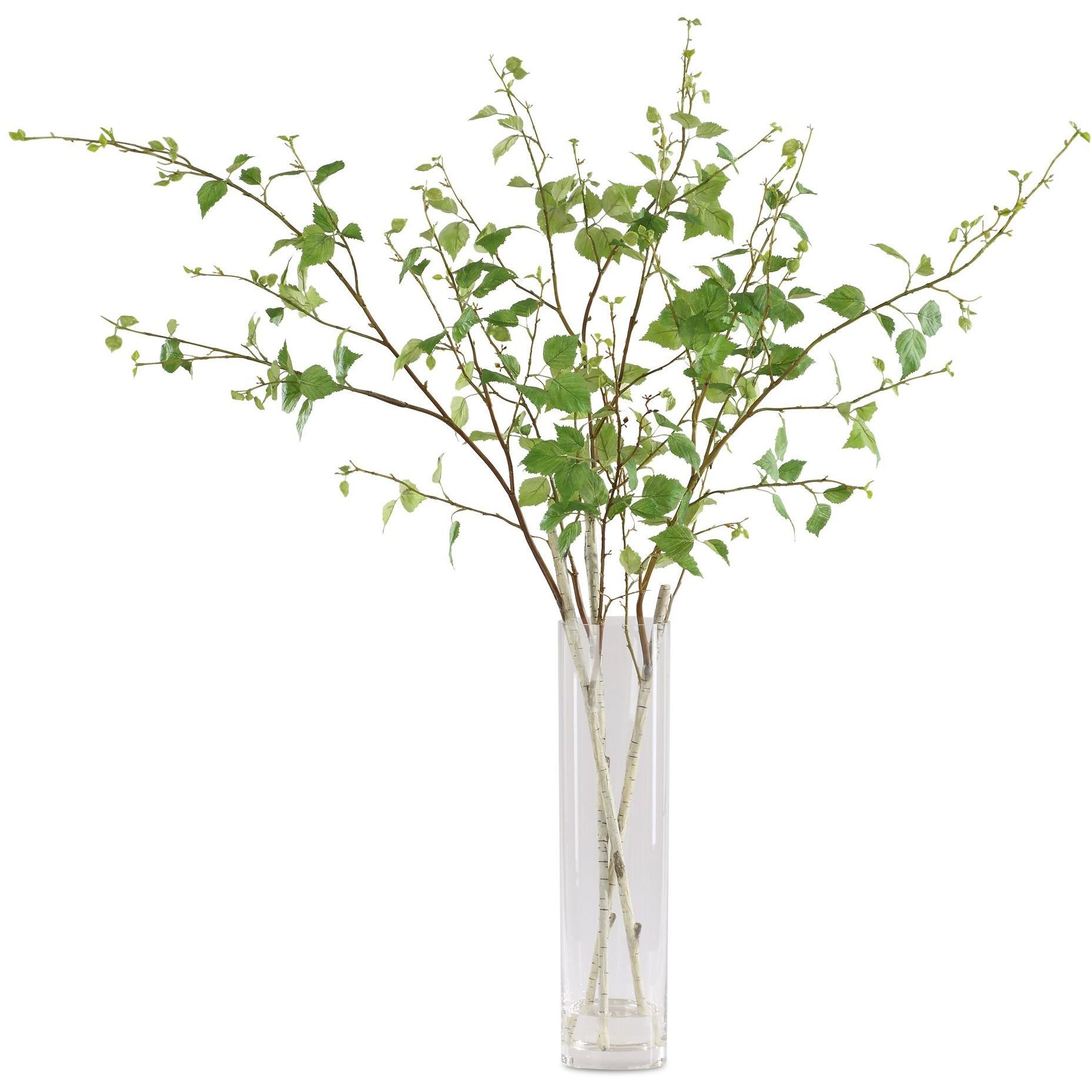 Nigra Green Birch in Vase Centerpiece