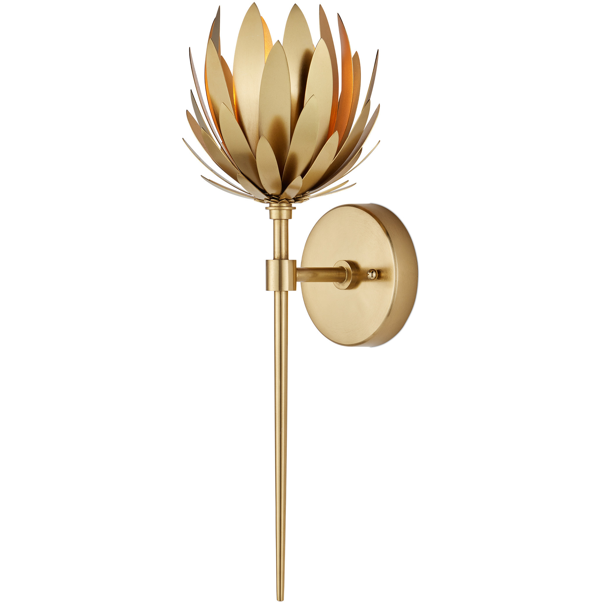 Protea 1 Light 6.75 inch Brass Wall Sconce Wall Light