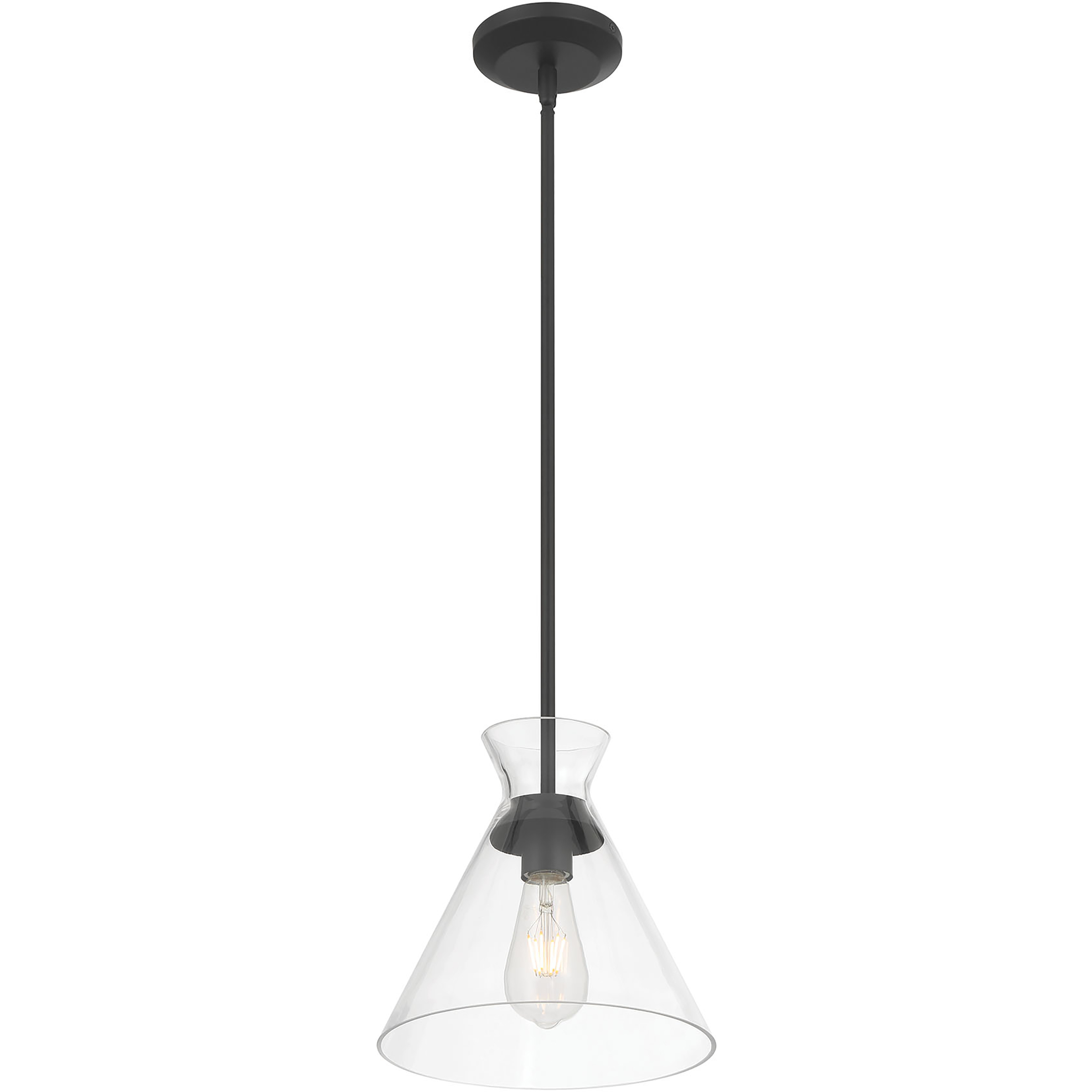 Amarella 1 Light 10 inch Matte Black Pendant Ceiling Light