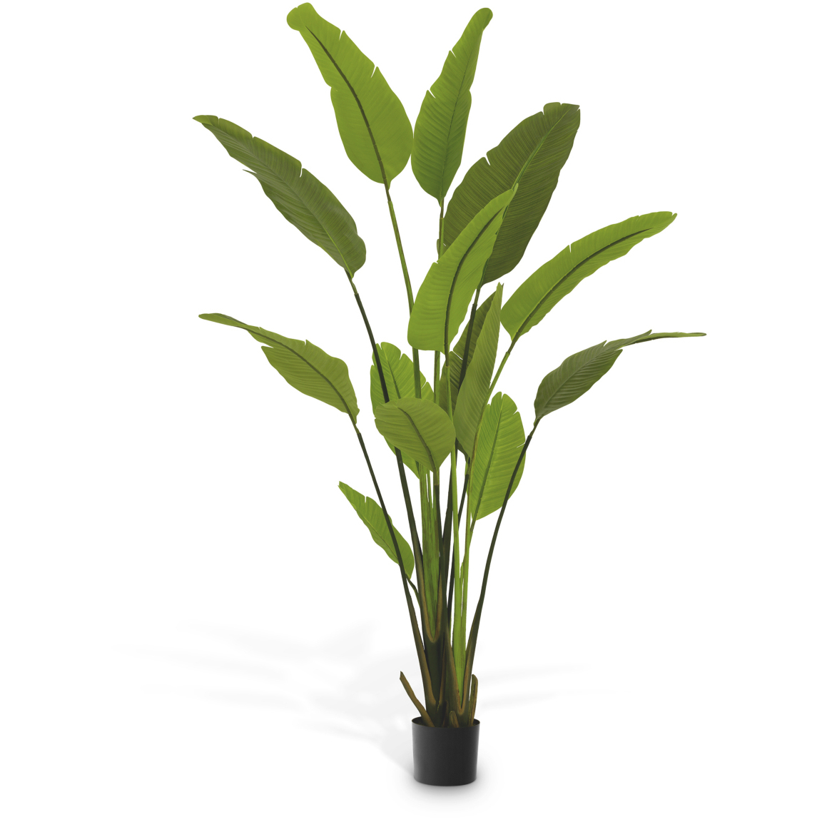 Strelitzia Green Tones Artificial Plant