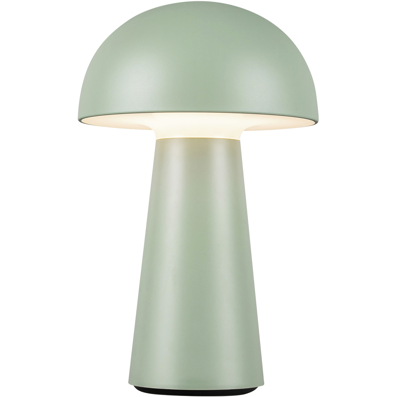Asher 8.63 inch 3 watt Sage Green Table Lamp Portable Light